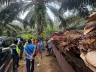 Pahang rugi RM387.8 juta penerokaan haram Ramsar Tasik Bera