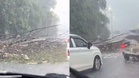 [VIDEO] NKVE sesak, pokok tumbang halang laluan
