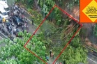 Lagi pokok tumbang di NKVE, sesak 5km