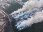 Kebakaran kebun, lalang lebih 20 hektar di Pengerang