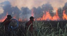 Manusia punca utama kebakaran hutan