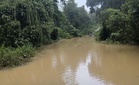600 penduduk Orang Asli terkandas, Jambatan Linggi ditenggelami air