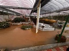 Banjir: Taman Agroteknologi Mardi Cameron Highlands tutup sementara bermula esok