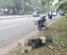 Dua beradik maut dirempuh MPV