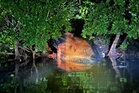 Penduduk jumpa bangkai paus 8 meter di sungai