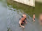 [VIDEO] ‘4 kanak-kanak leka bermain dalam saliran air, bimbang tragedi Kulim berulang’