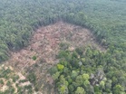 Siapa dalang utama musnahkan Ramsar Tasik Bera?