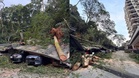 Puluhan pokok tumbang di Damansara, beberapa kenderaan terjejas