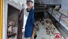 Ayam hidup ‘disorok’ sebelum dijual tanpa lesen