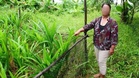 100 pakaian dalam basah ditemukan di kebun, polis lancar siasatan 