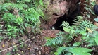 Janji sehidup semati, cuma lelaki terjun tebing 40 meter