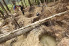 9 Orang Asli ditahan melombong emas dalam Hutan Simpan
