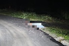 Mayat lelaki dipercayai mangsa bunuh dijumpai di tepi jalan