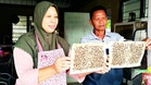 Dua kampung ‘diserang’ ribuan lalat