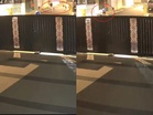 [VIDEO] ‘Nak pergi mengaji pun tak aman, bersepah anjing liar’