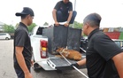 Lima anjing liar ditangkap selepas kanak-kanak diserang