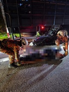 Lelaki maut tunggang motosikal langgar belakang lori ayam