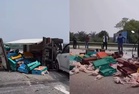 [VIDEO] Sesak 12km Sungai Buaya-Bukit Tagar gara-gara ayam