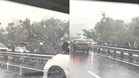 Trafik sesak, pokok tumbang di Lebuh Raya Elite
