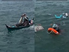 Niat asal nak tunjuk ikan, tak sangka perahu nak karam