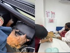 [VIDEO] ‘Dah jumpa Yeyen Selipar, rupanya kena langgar’
