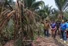 Pekebun Perlop 1 boleh mohon bantuan kerugian akibat gajah