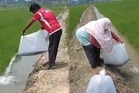 Lepas keli Afrika dalam parit sawah, undang kecaman