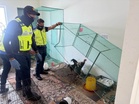 Bela dalam rumah, 17 ekor ayam sabung disita MPM