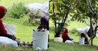 [VIDEO] Terkejut lihat orang tangkap, siang ikan di Tasik Cempaka