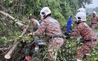 Ajal penunggang motosikal dihempap pokok tumbang