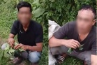 2 pencuri dihukum makan daun betik