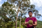 Tauke musang king mula susah hati