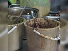 Kedai kotor macam sarang tikus diarah tutup
