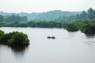 Gajah Tasik Bera mula menghilang