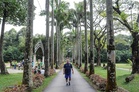 TTDI park upgrade on track for June reopening despite nearby wall collapse