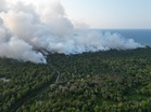 DOE warns of jail, million‑ringgit fines as probe launched into Terengganu peatland fire