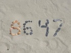 What is ‘86 47’? Sea shell message has ex-FBI director Comey accused of ‘threatening’ Trump