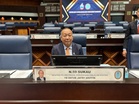 Leave the crocs alone: Sabah rejects proposal for unlicensed shooting of crocs