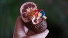 One life lost, three saved: Terengganu man’s organs give new hope to 13-year-old girl, 19-year-old man, and 47-year-old woman