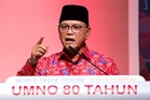 Umno at 80: Party veep says party must evolve or risk fading relevance