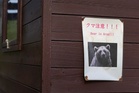 Hungry bears on the prowl: Japan confirms first deadly attack of 2026