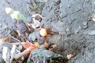 Indonesia rescuers finally reach, retrieve bodies of Singaporeans who perished after volcanic eruption (VIDEO)