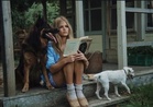 French Riviera city Cannes honours Brigitte Bardot with dog-friendly beach