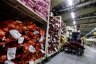 Domestic Trade Ministry enforces nine‑day Kaamatan‑Gawai price‑control scheme in Sabah, Sarawak and Labuan