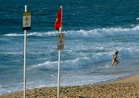 Shark kills man in Australia's Queensland state
