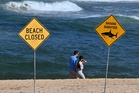 New Zealand surf event halted as sea creature bites photographer