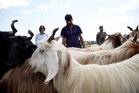 Three years running, Gaza families mark Eid al‑Adha with sorrow instead of sacrifices
