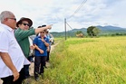 High potential for Sabah to cultivate corn to reduce import of animal feed, says minister