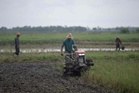 Myanmar rice farmers struggle as fertiliser prices soar and fuel supplies tighten