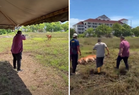 Video of Perlis MB shooting sacrificial cow sparks police probe